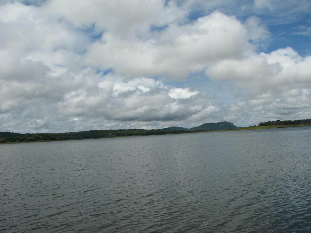 Coorg Jungle Camp Resort Suntikoppa Εξωτερικό φωτογραφία