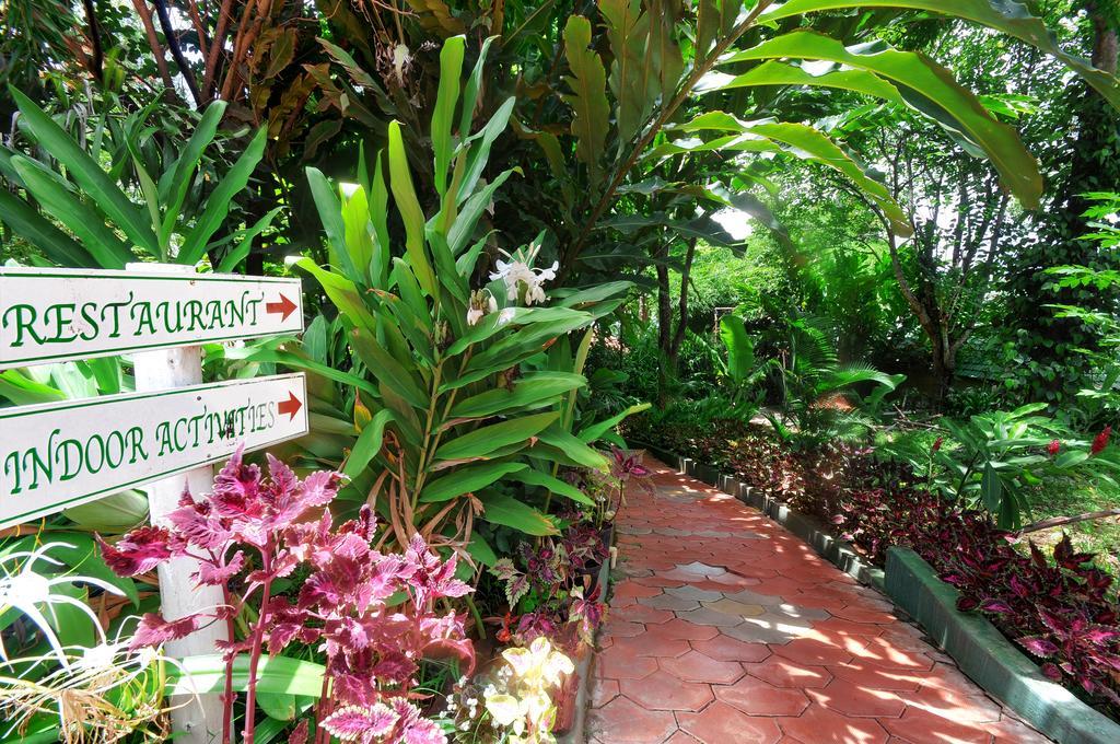 Coorg Jungle Camp Resort Suntikoppa Εξωτερικό φωτογραφία
