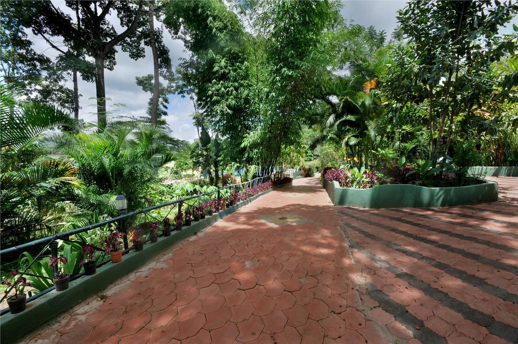 Coorg Jungle Camp Resort Suntikoppa Εξωτερικό φωτογραφία