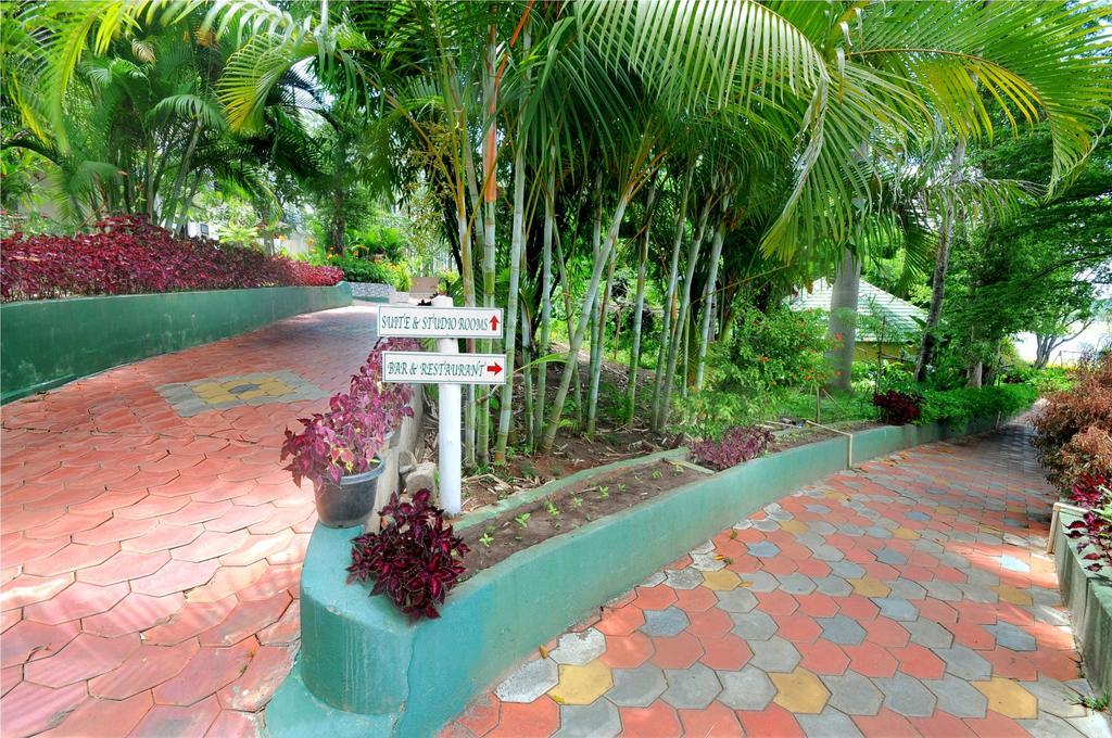 Coorg Jungle Camp Resort Suntikoppa Εξωτερικό φωτογραφία